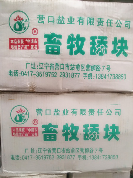 鹽磚  鹽磚